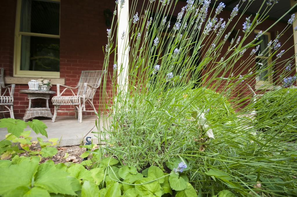 The Graces Beechworth Bed & Breakfast Ngoại thất bức ảnh
